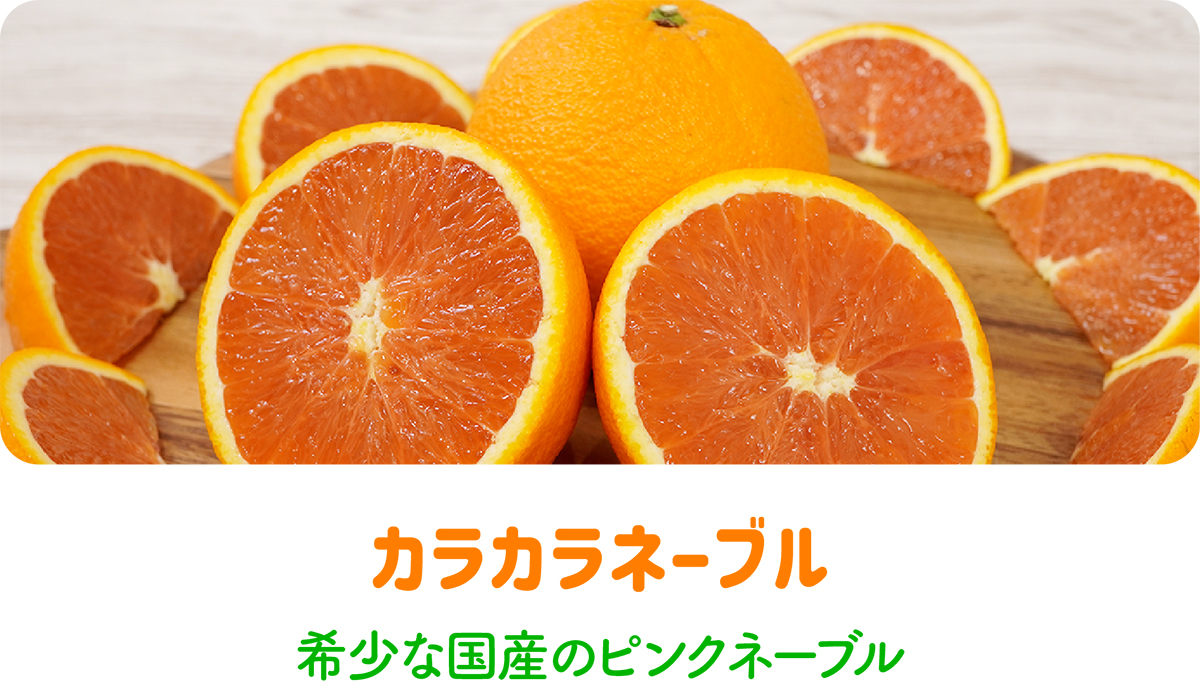 カラカラネーブル