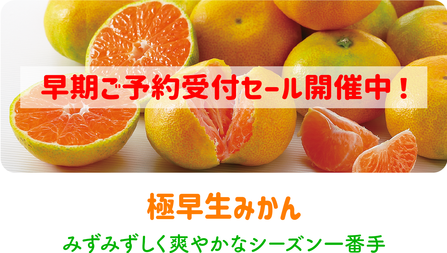 極早生みかん