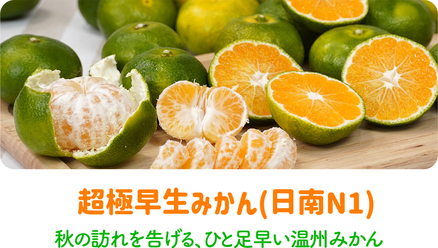 超極早生みかん