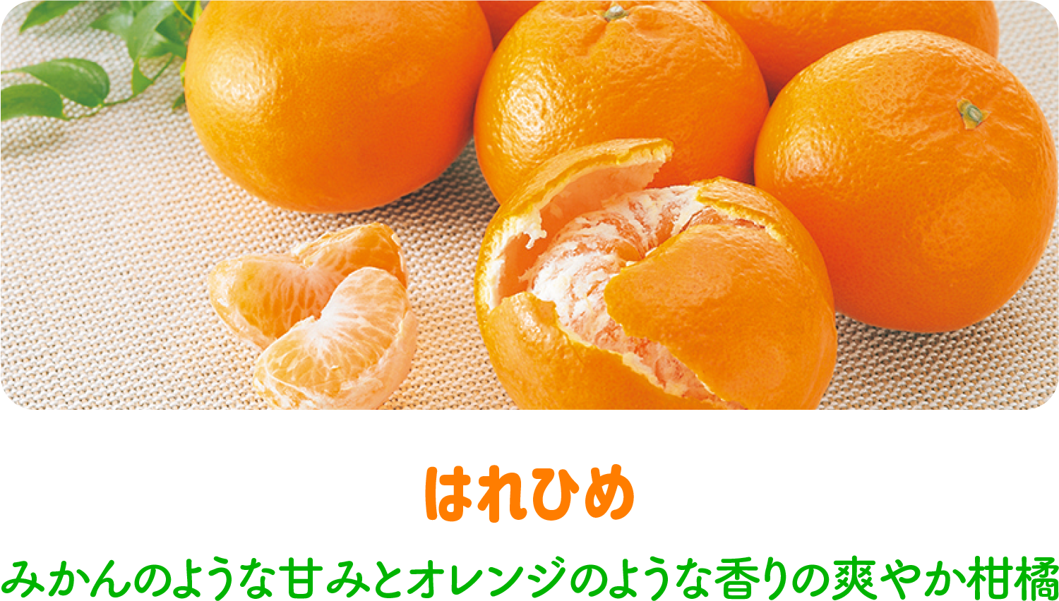 はれひめ