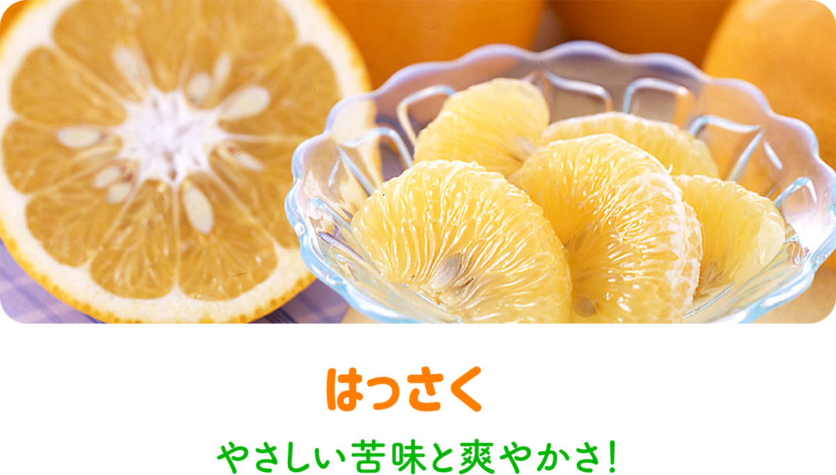 八朔（はっさく）
