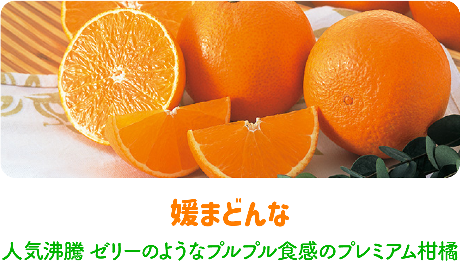 媛まどんな