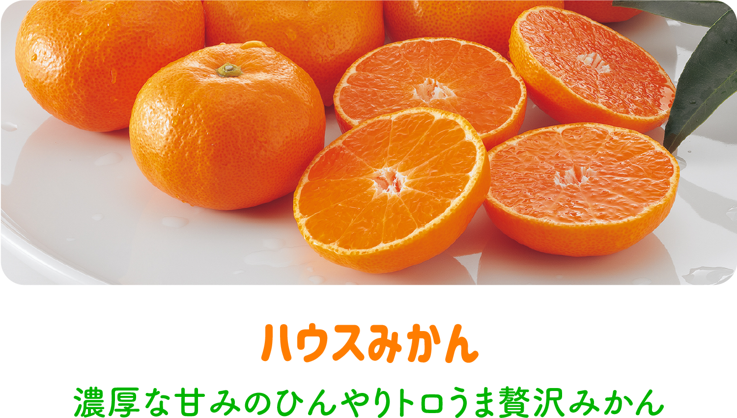 ハウスみかん