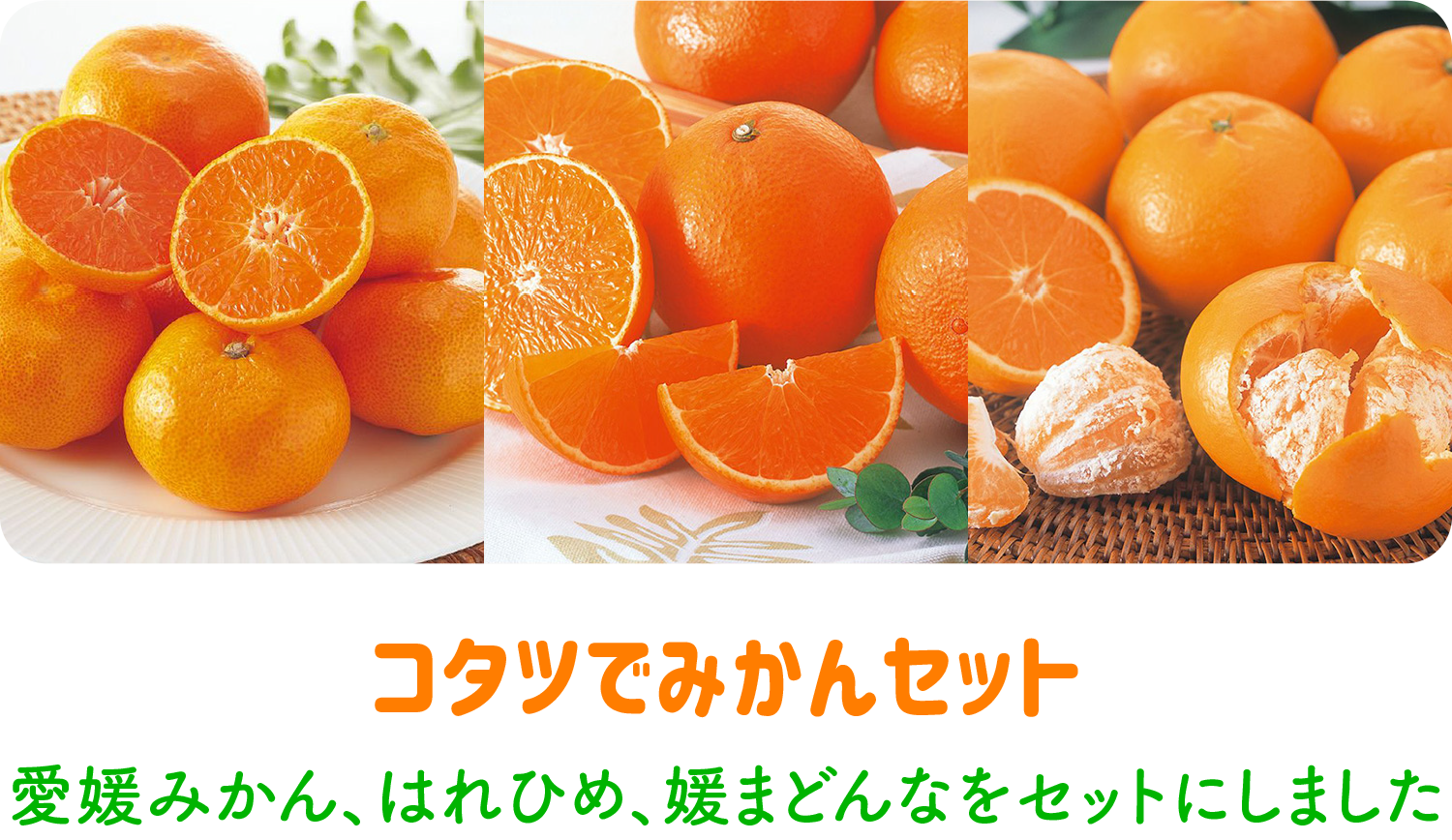 コタツでみかんセット