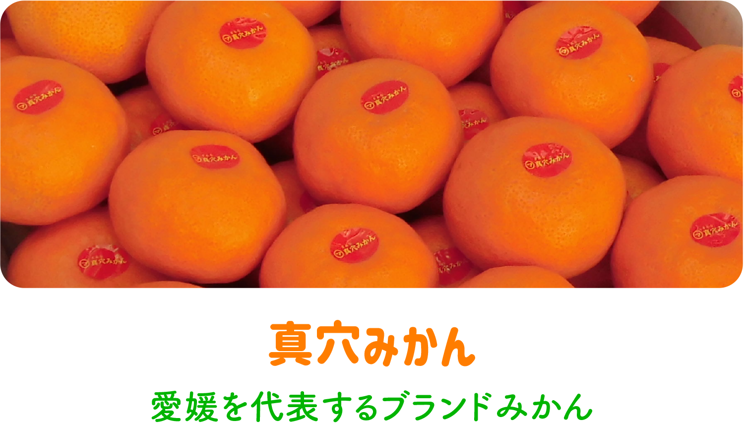 真穴みかん