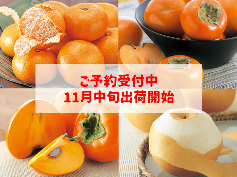 11月の果物4種味比べ