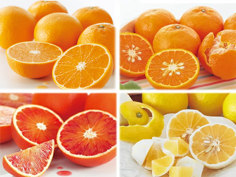 5月の柑橘4種味比べ