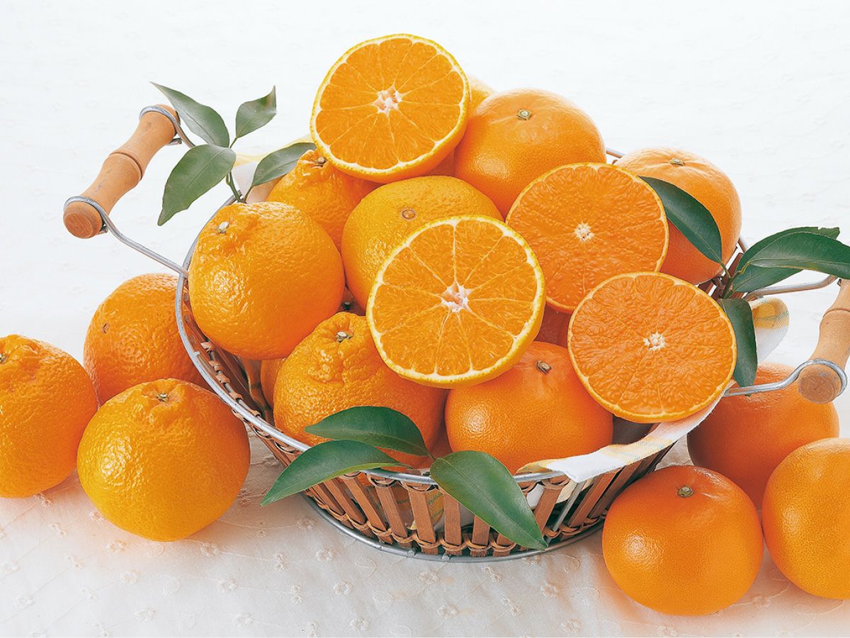 デコタンゴール＆せとか