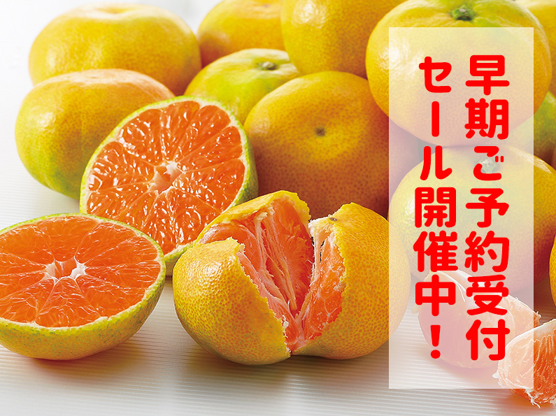 極早生みかん
