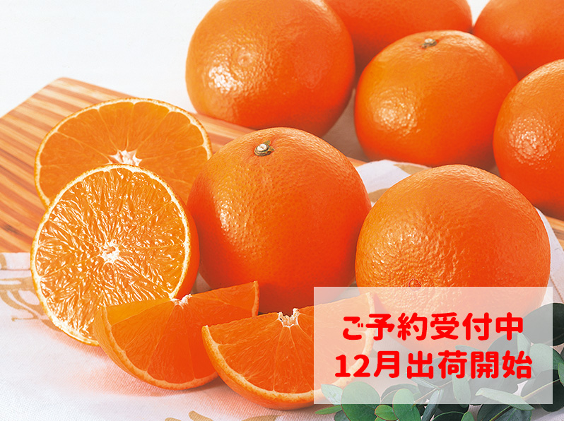 媛まどんな