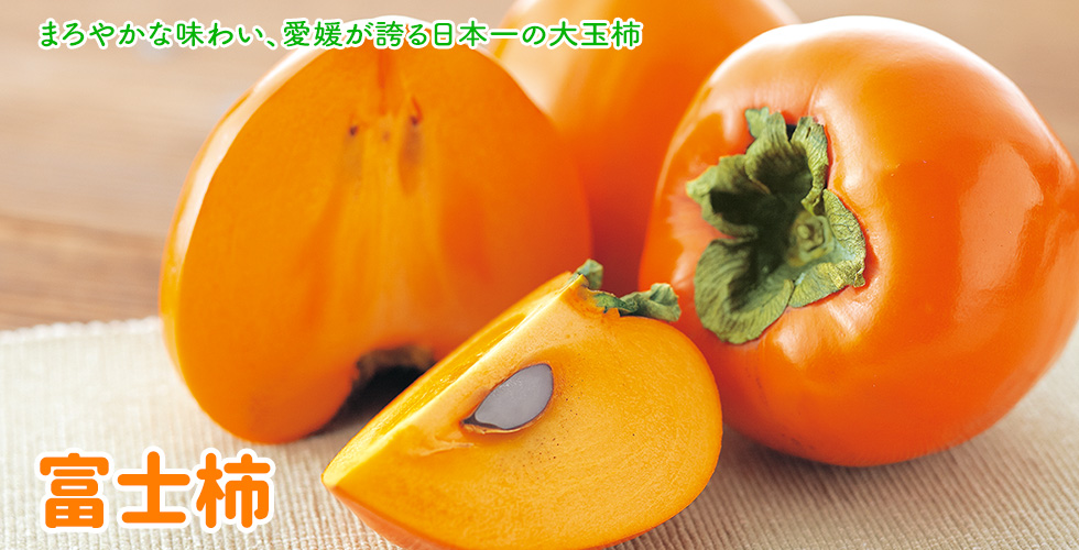 富士柿