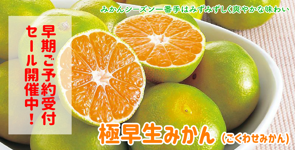 極早生みかん