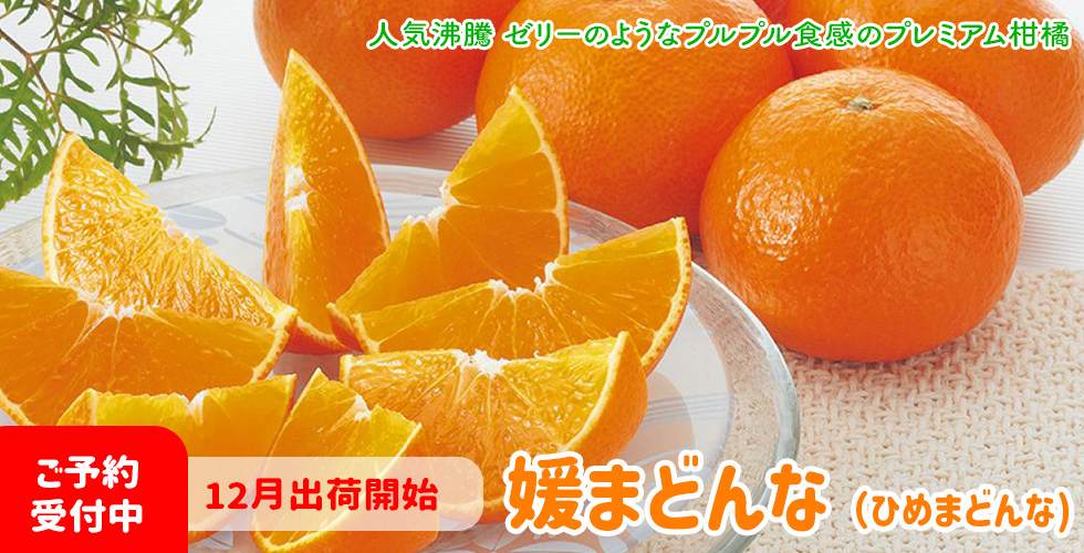 媛まどんなご予約受付中