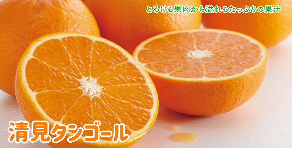 清見タンゴール