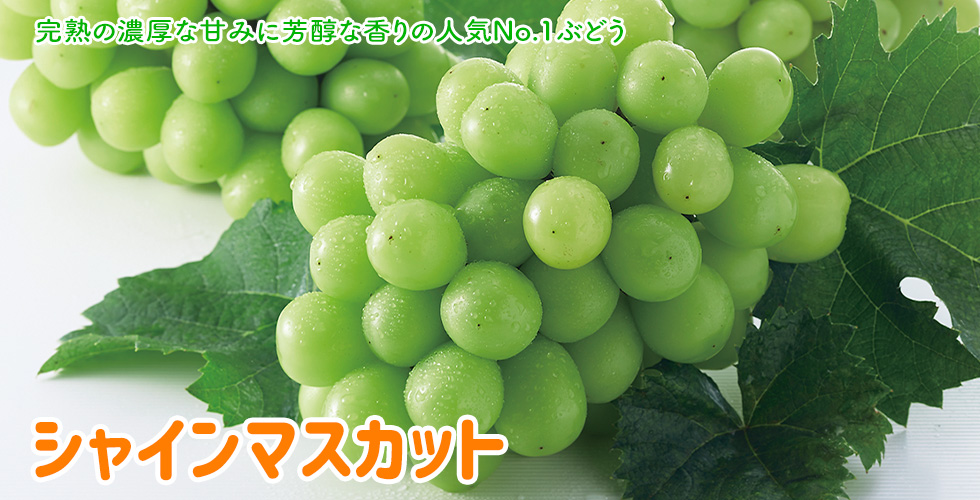 シャインマスカット