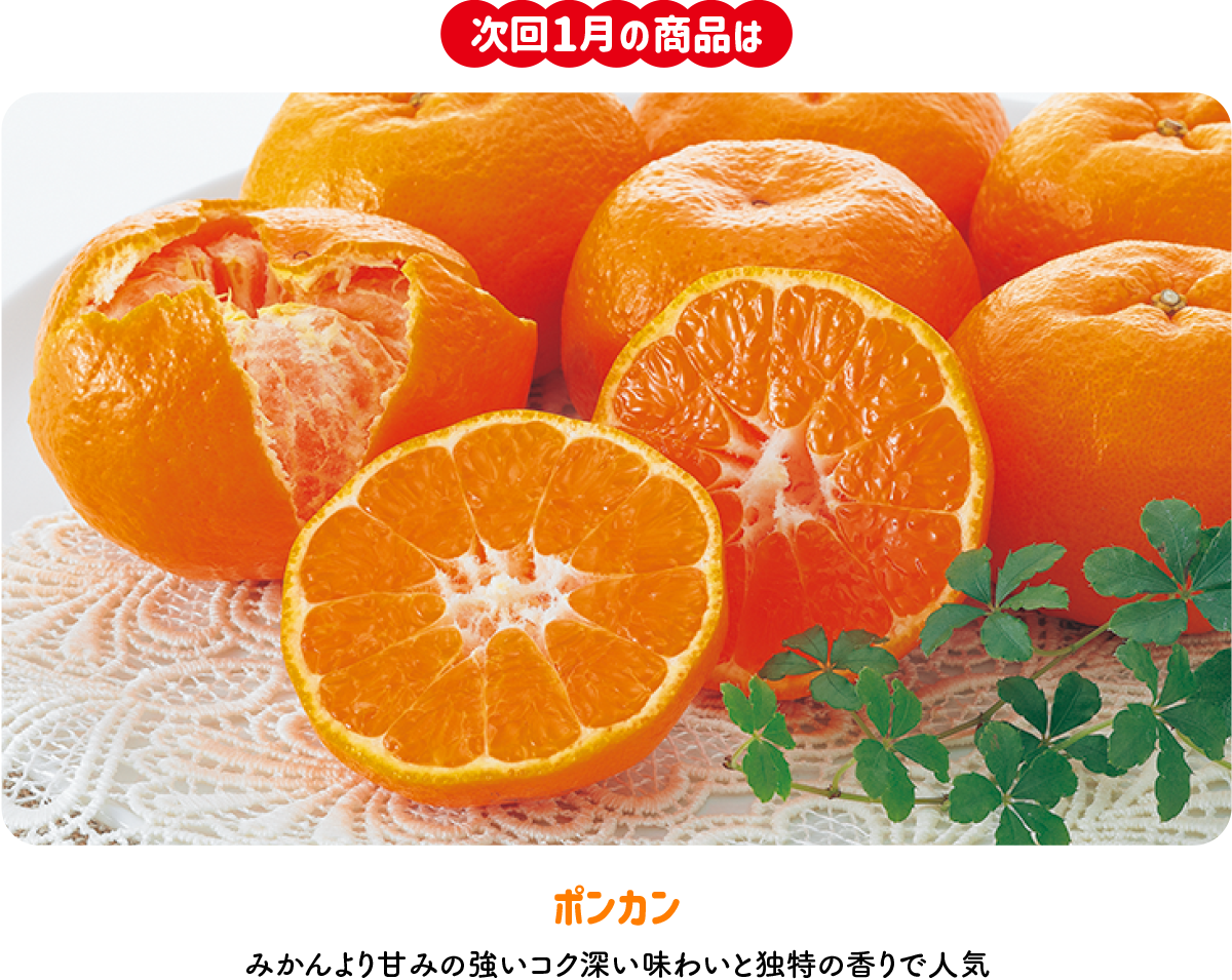 のま果樹園の「月がわりお楽しみ定期便(9735)」 | のま果樹園