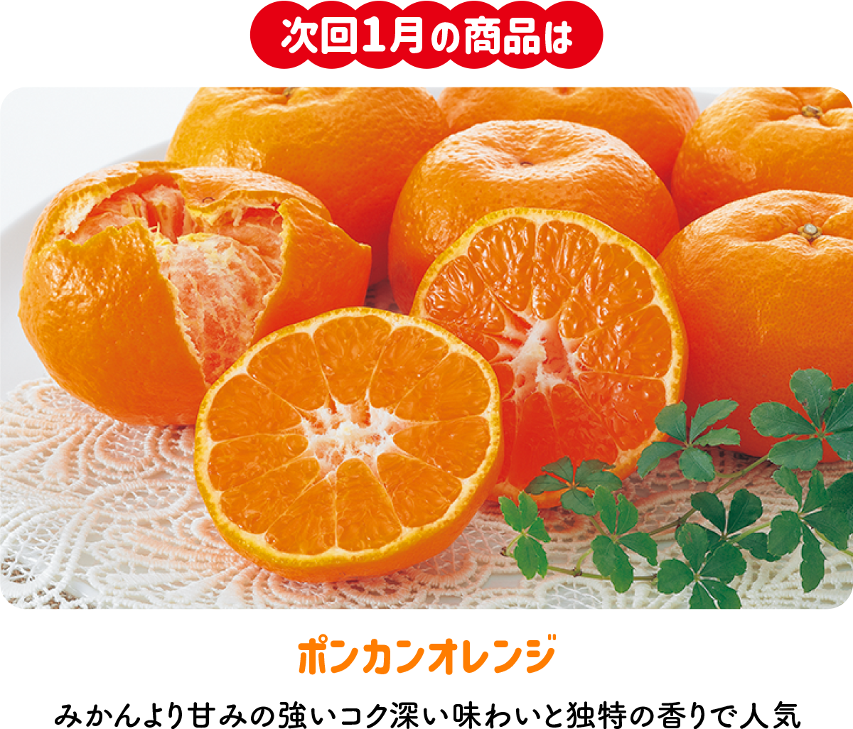 のま果樹園の「月がわりお楽しみ定期便(9735)」 | のま果樹園