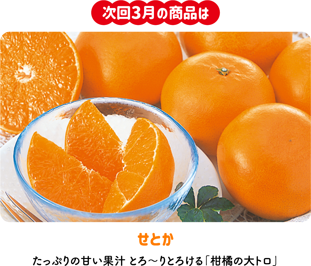 のま果樹園の「月がわりお楽しみ定期便(9735)」 | のま果樹園