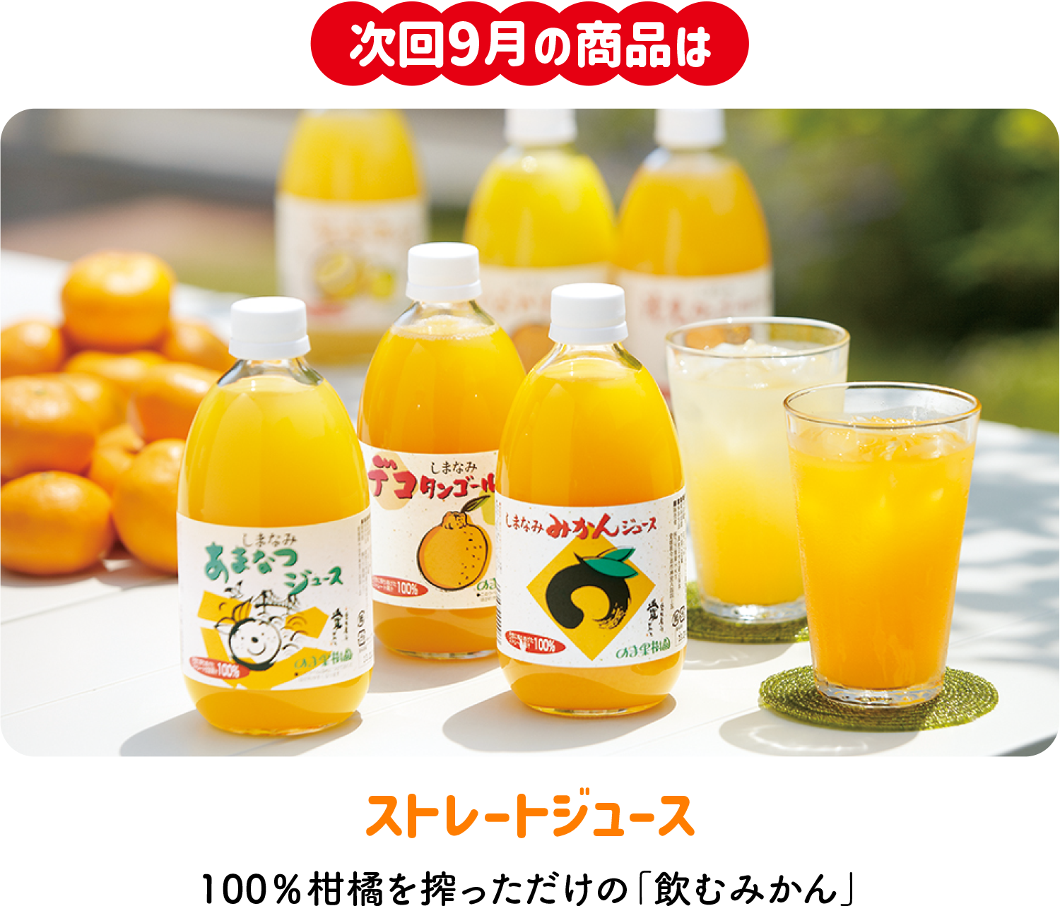 N様天然香木7月1日定期便 N様天然香木7月1日定期便 - メルカリ