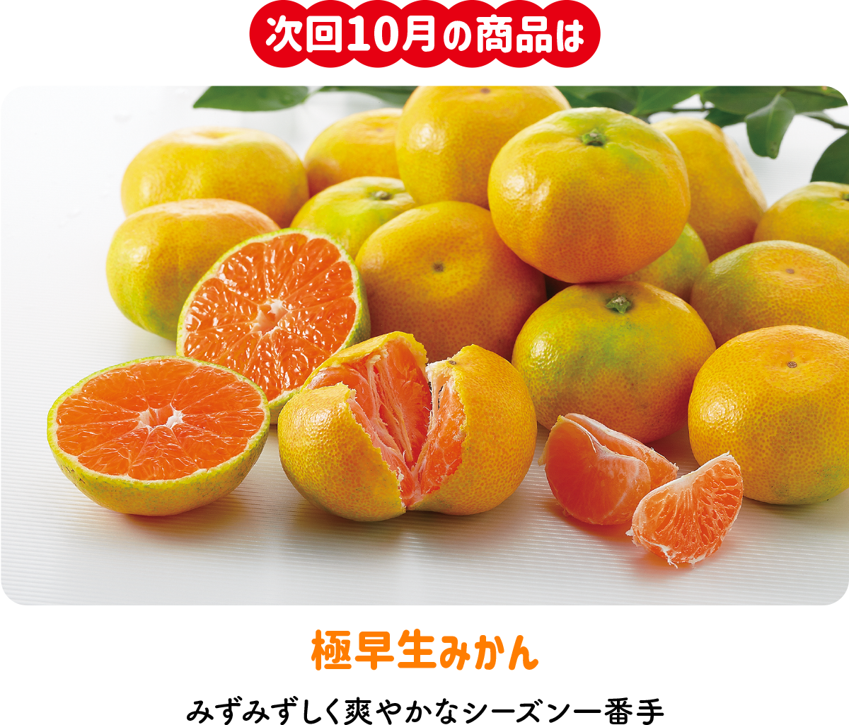 のま果樹園の「月がわりお楽しみ定期便(9735)」 | のま果樹園