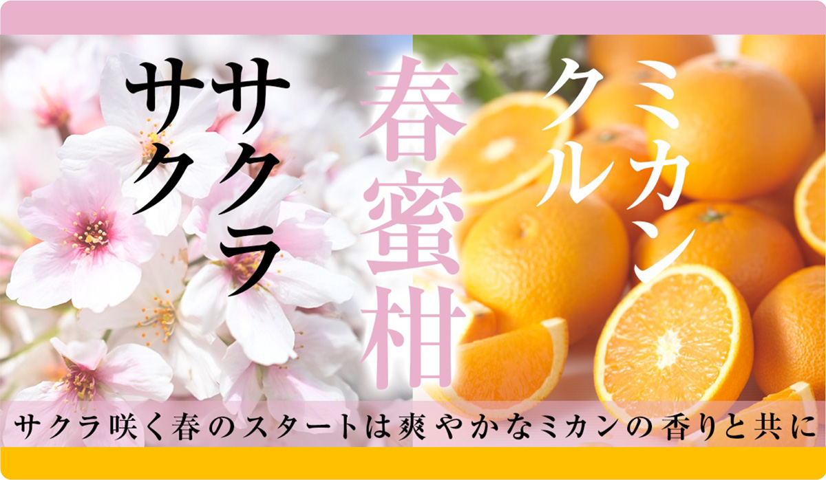 のま果樹園のお中元