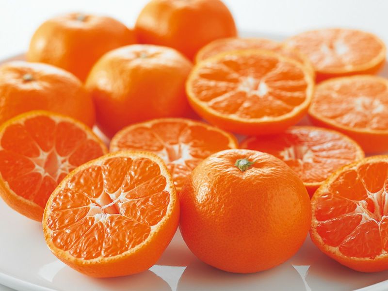 2023年冬 Mikan-1（ミカンワン）グランプリ | みかん専門店・愛媛