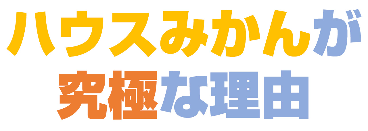 究極のみかん　ハウスみかん