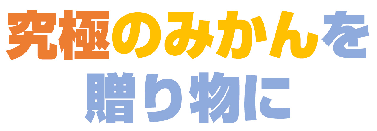 究極のみかん　ハウスみかん