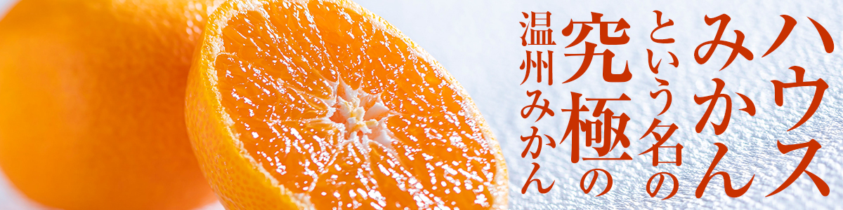 イベント