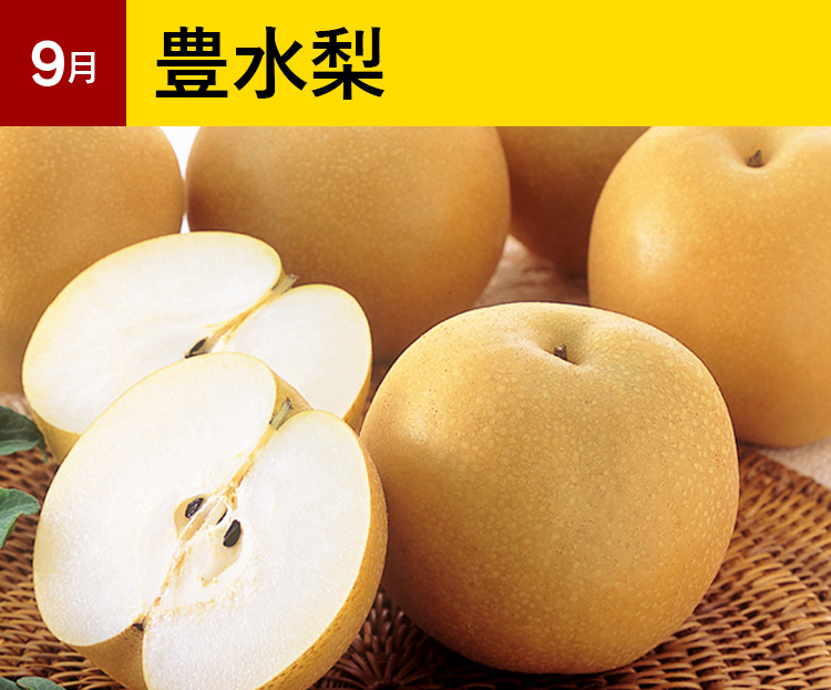 季節のフルーツ みかん専門店 愛媛みかんの のま果樹園