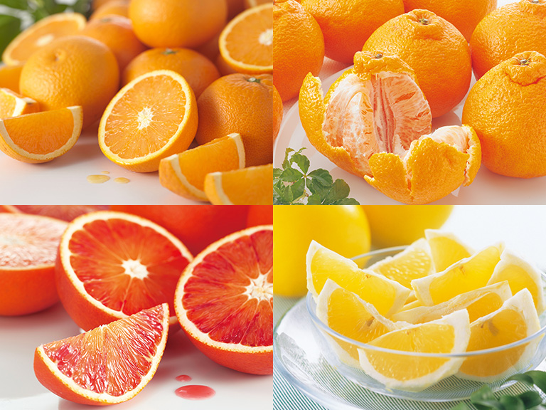 5月の柑橘4種味比べ