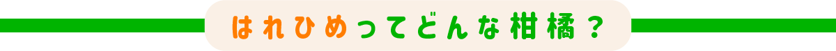 どんな柑橘？