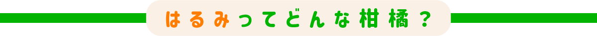 どんな柑橘？