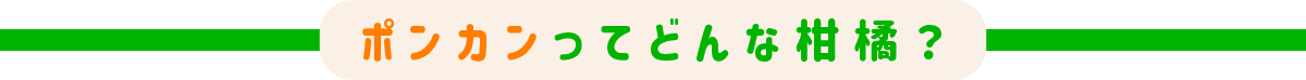 どんな柑橘？