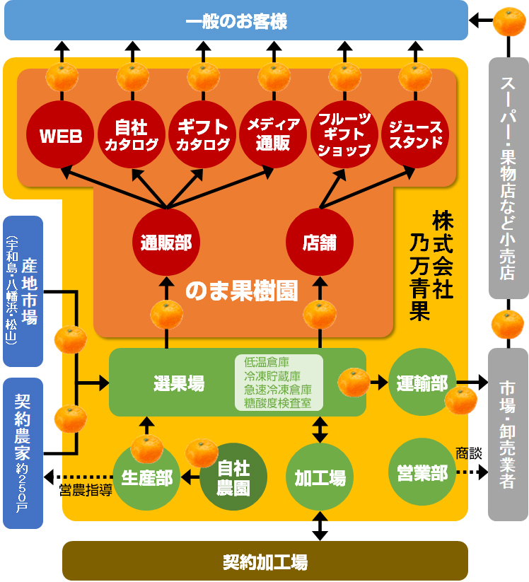 体制図