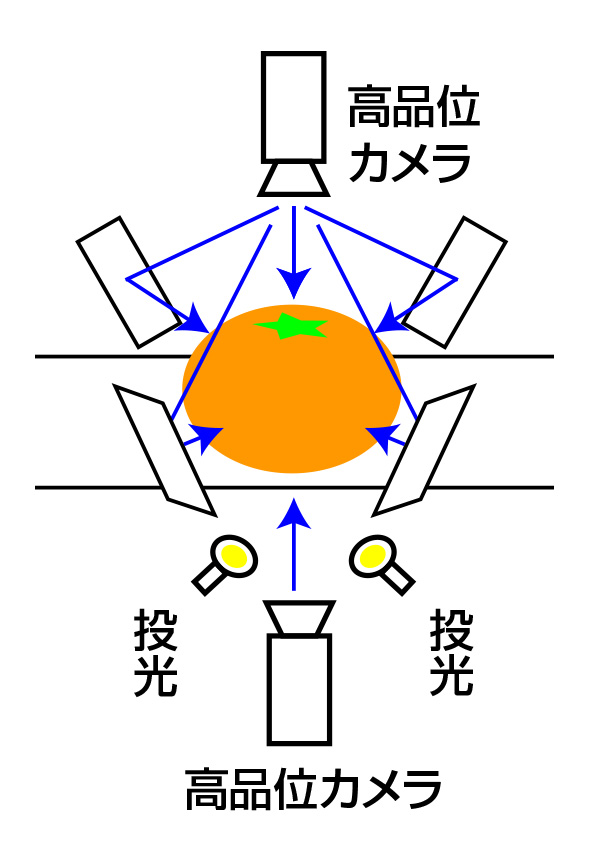 外観計測センサー（AIビジョン）