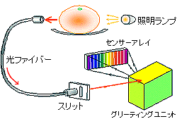 内部品質センサー（IQセンサー）